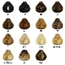 color chart square.webp